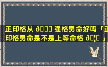 正印格从 🕊 强格男命好吗「正印格男命是不是上等命格 🦋 」